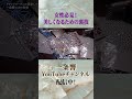女性必見!美しくなるための裏技