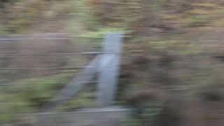 水上～上牧駅、上越線、進行方向左側車窓から/Minakami～Kamimoku