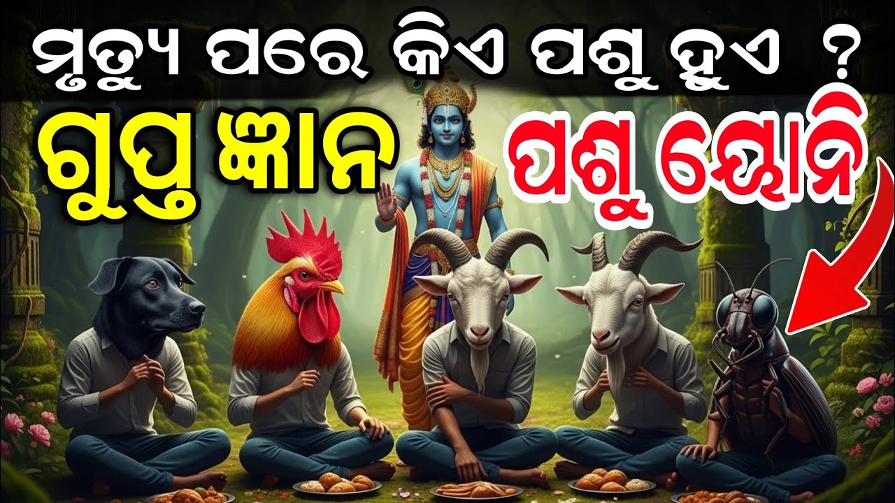 କେଉଁ ପାପର ଶାସ୍ତିରେ ମଣିଷ ପଶୁ ଯୋନି ପାଏ ?  ଶ୍ରୀକୃଷ୍ଣ–Garuda Secret Karma Truth |