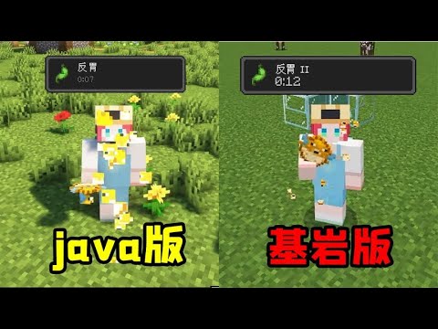 Minecraft：基岩版對比java版，基岩版的河豚更毒？是水質的問題？ 【大小姐可樂】