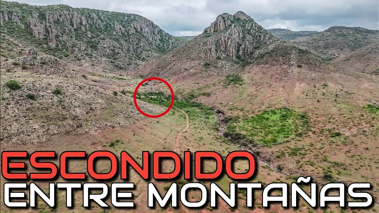 LA ABUELITA DEJO AQUI un GRAN TESORO