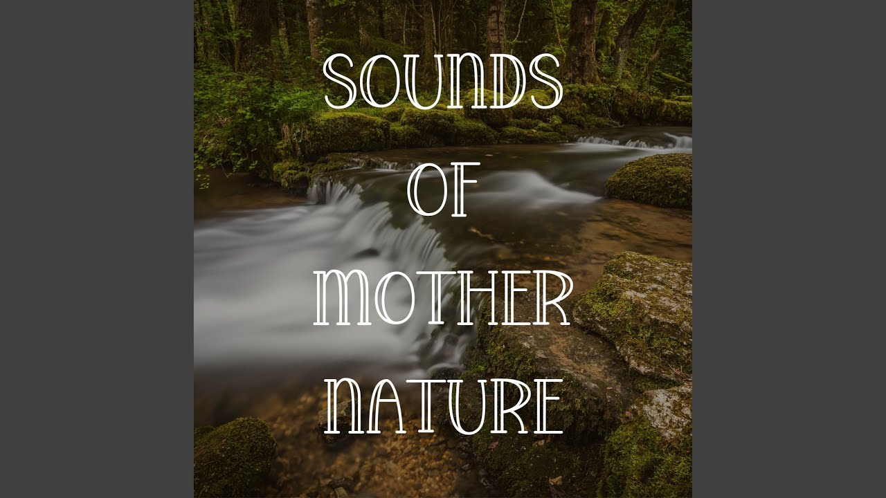 Koshi Chimes YouTube