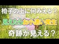 【奇跡を起こす音楽】これを聴いて、椅子の上のものが見えれば、お小遣い発生へ！