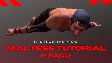 Maltese Tutorial by Barkage - Tips from the Pro