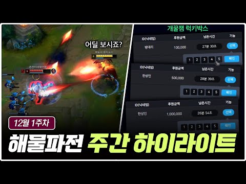 12월 1주 차 해물파전의 긍정롤세상 주간 하이라이트