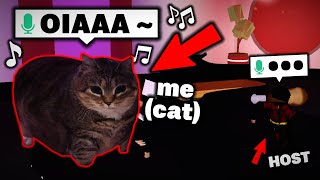 I Played Blue As The Brainrot Cat In A Roblox Talent Show