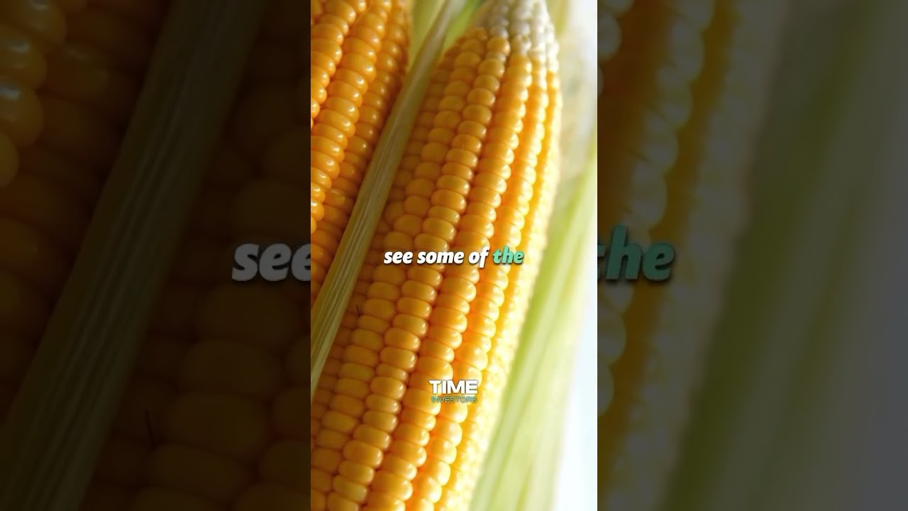 Don’t buy GMO corn 🌽 ever see this ☝️