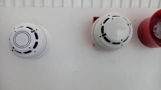 Morley zx5se system test 7 (Hochiki ESP)