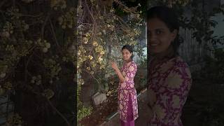 Evariki Ayina Thelsa