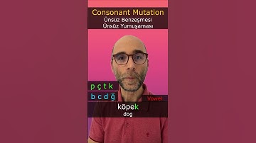 Turkish Language: Consonant Mutation in Turkish