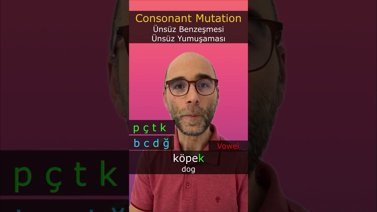 Turkish Language: Consonant Mutation in Turkish