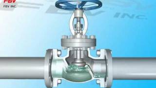 FBV Globe Valve
