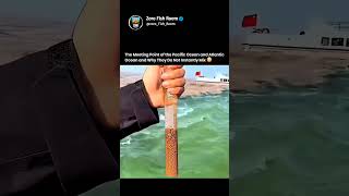 The Meeting Point of the Pacific Ocean and Atlantic Ocean and Why They Do Not Instantly Mix😳👁️