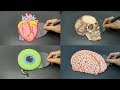 LEARN BODY PARTS WITH PANCAKES!! Heart Skull Eye and Brain AMAZING FOOD