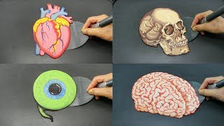 LEARN BODY PARTS WITH PANCAKES!! Heart Skull Eye and Brain AMAZING FOOD