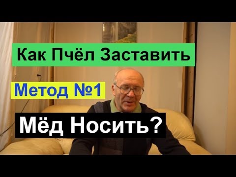 №116 Как пчёл заставить мёд носить? | Медосбор | Медовик | Пчеловодство | Пасека