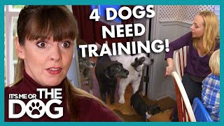Meet Nicole Sullivan and her Misbehaved 4 Dogs🐶 | It’s Me or The Dog by It's Me or the Dog 17,231 views 1 month ago 3 minutes, 58 seconds