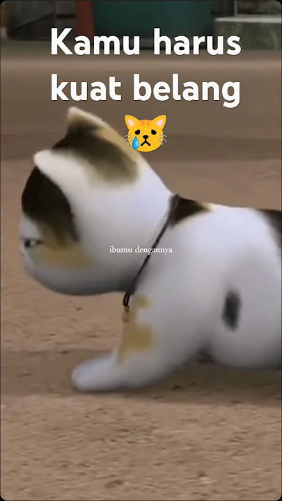 Download lagu harus kuat belang 😿😭,like dan subscribe biat belang selamat guys🙏#belang😿#belang #aditsopojarwo