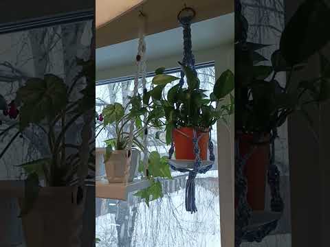 полки для цветов в продаже