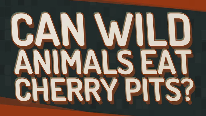 Can wild animals eat cherry pits?