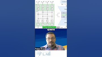 Visualizing Data with Quantum Circuits  A Deep Dive