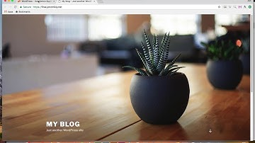 Reclaim Hosting: Creating A Subdomain, Adding SSL and Installing Wordpress
