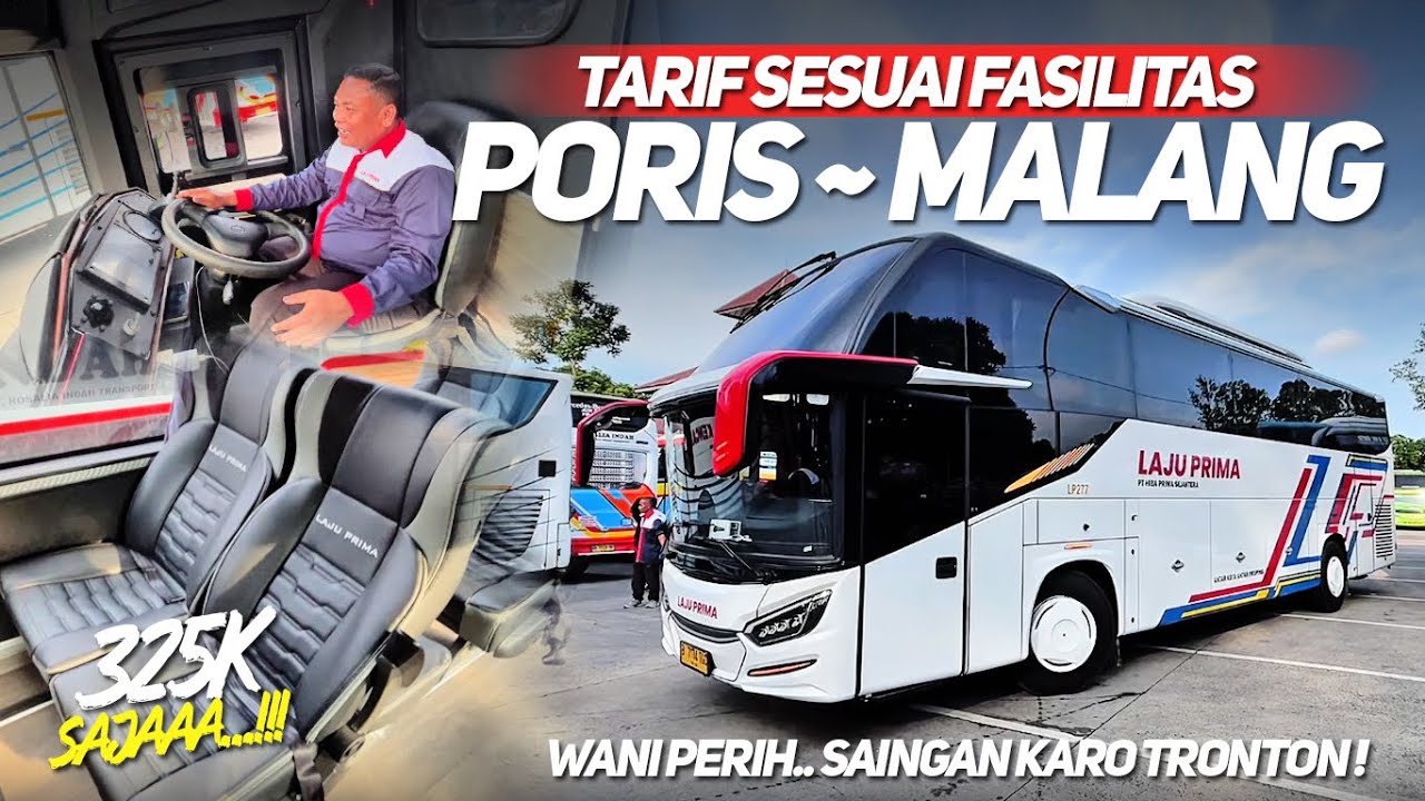 LAJU PRIMA BUKA RUTE MALANG TARIF MURAH MERIAH‼️LINE PERDANA PORIS - MALANG DENGAN UNIT AVANTE BARU