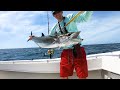 How to Catch and Troll Blue Runners (Hardtails) for Kingfish