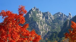 秋の瑞牆山 登山(2,230m) ~岩峰・奇岩の名山と紅葉~