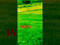 my country #shortvideo @santhliboy-xl6gr