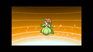 Evolución De Petilil