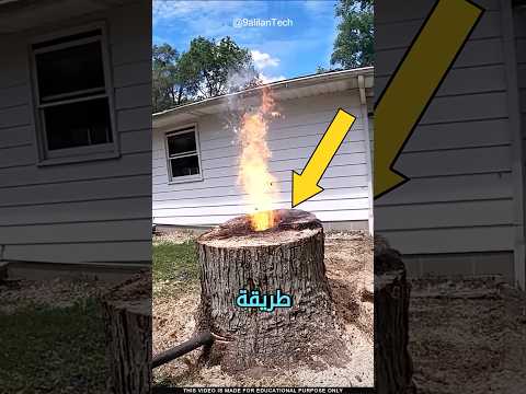 طريقة إزالة جذوع الأشجار