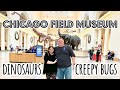 Chicago Field Museum VLOG with VERY CREEPY THINGS | Nadia Beez