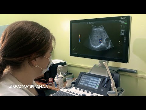 Увидеть и миллиметр патологии. Врач УЗИ о работе и выборе профессии 📹 TV29.RU (Северодвинск)