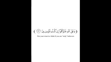 كروما شاشه بيضاء قرآن كريم 🍁سوره المائده 🍁القارئ :عز الدين العوامي