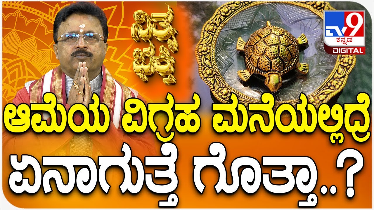 Daily Devotional | Dr. Basavaraj Guruji: ಆಮೆಯ ವಿಗ್ರಹ ಮನೆಯಲ್ಲಿದ್ರೆಏನಾಗುತ್ತೆ ಗೊತ್ತಾ..? | #TV9D