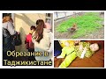 ОБРЕЗАНИЕ ИСЛАМА❤МНОГО ГОСТЕЙ🇹🇯ДЕНЬ РОЖДЕНИЯ САФИИ🥰