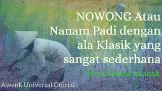 Download Lagu NOWONG atau Nanam Padi dengan ala Klasik,