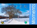 Winter Wonderland in Midden-Limburg - Reuver - Beesel