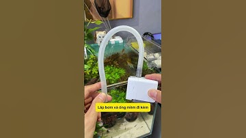 Bể Cá Trong Vắt Nhờ Bộ Lọc Ba Cấp Siêu Đỉnh!  #notashopvn #tuanaquarium #aquarium #fish #fyp