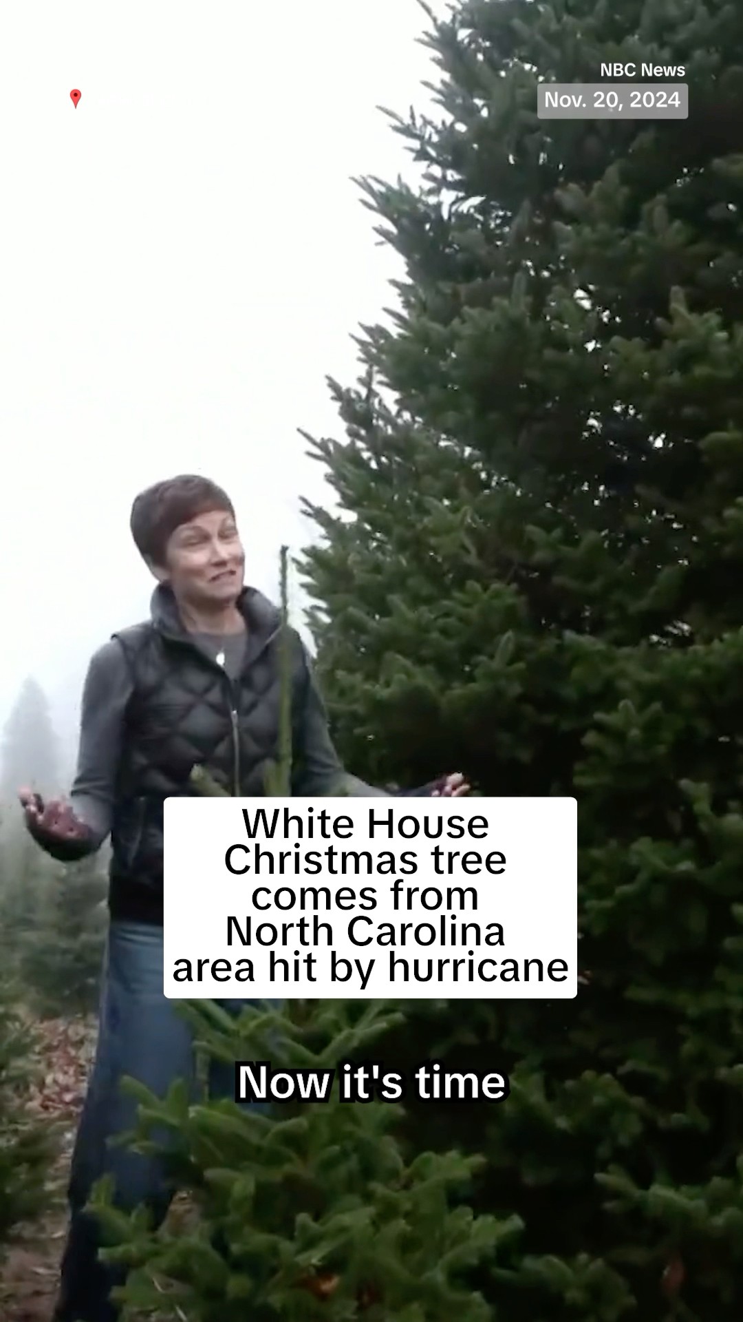 White House Christmas tree comes from North Carolina area hit by hurricane