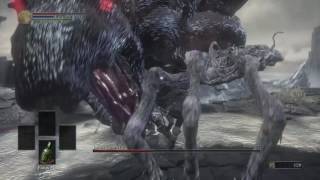 DARK SOULS 3 Fist only ludex gundy