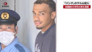 【速報】「パンチ」のサル山侵入 自称米国籍の男を逮捕