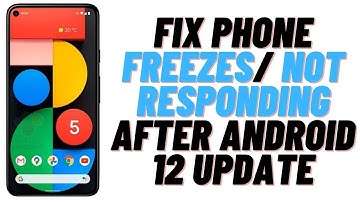 How to Fix Phone Freezes/ Not Responding After Android 12 Update