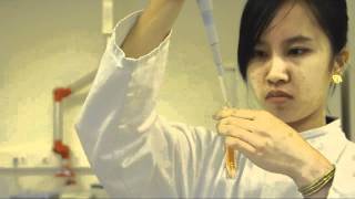 Rikilt Mycotoxin Sample Prep Video