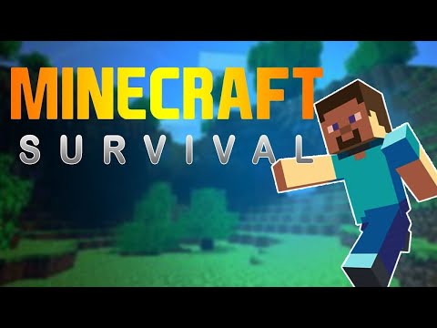 MINECRAFT NOOB TO PRO 24/7 PUBLIC SERVER LIVE (ANYONE CAN JOIN)