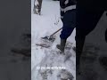 La curatat zapada