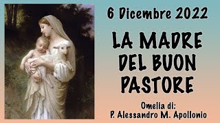 Omelia - LA MADRE DEL BUON PASTORE - p. Alessandro M. Apollonio, FI