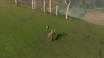 [DAY 303] of finding one korok seed everyday until Botw2 comes out