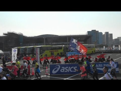 法大　鳳遙恋　2015　浪漫　東京マラソン祭り2016
